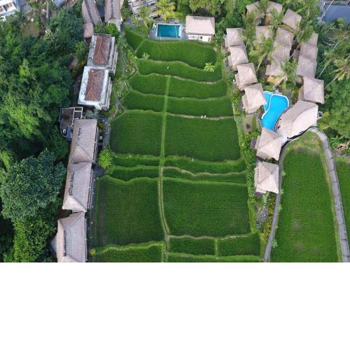 Biyukukung Suite & Spa