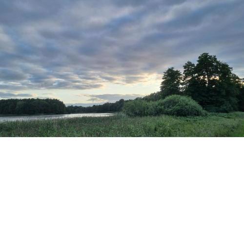 Black Tiger Seaside - Ferienwohnungen direkt am See