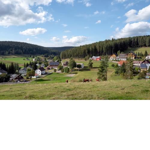 BlackForest - 4U
