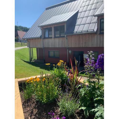 Blackforest Homestay