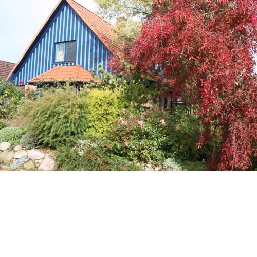 Blaues Haus