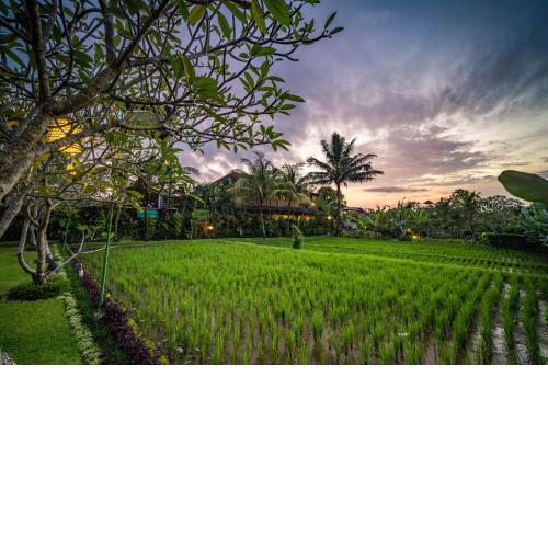 Bliss Ubud Luxury Villa