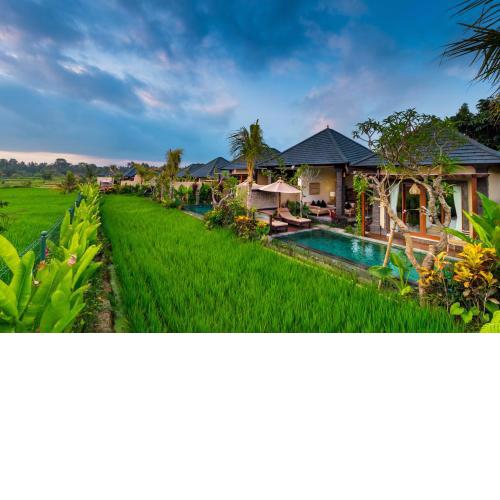Bliss Ubud Spa Resort