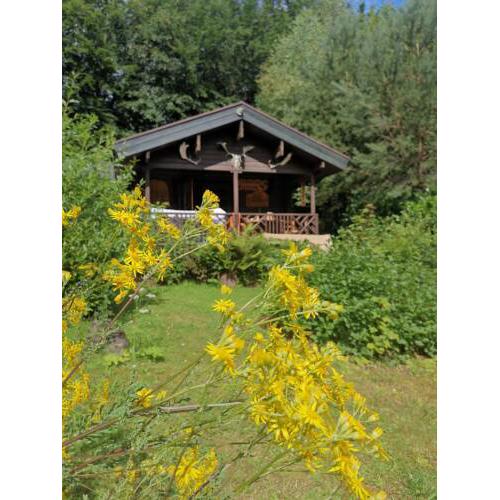 Blockhaus am Twistesee mit 3 Schlafzimmern