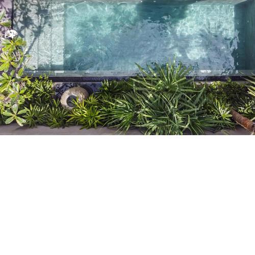 Blossom Eco Luxe Villas by Ekosistem