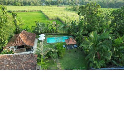 Blue Garden Yogyakarta