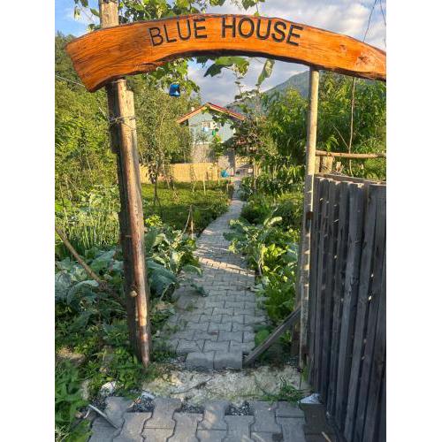 BLUE HOUSE