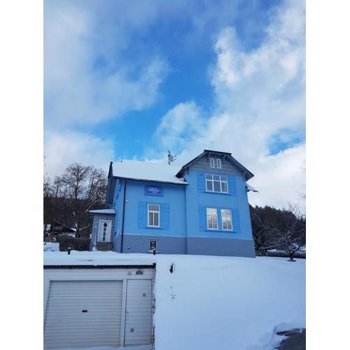 Blue Pension