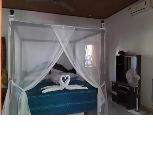 Blue Star Bungalows & Cafe