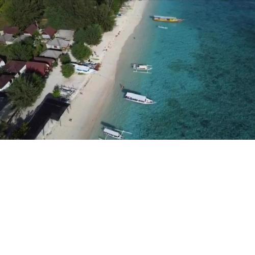 Bluecoral Bungalows