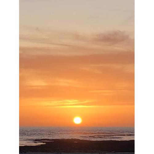 Bluesun