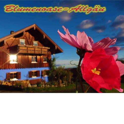 Blumenoase Allgäu