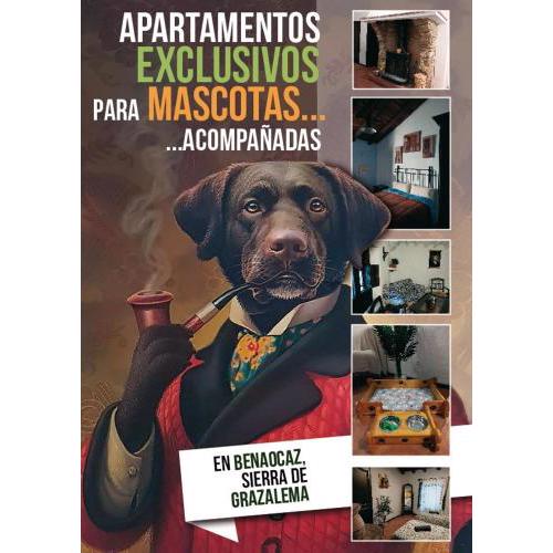 BN MASCOTAS 1