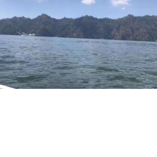 Boat Tour and Spearfishing Experiences