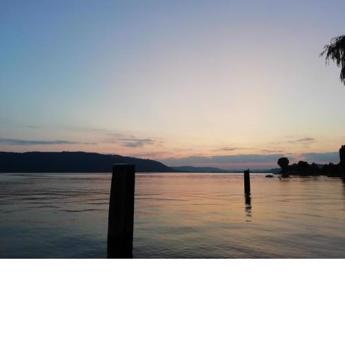 Bodensee 2-Zi Ferienwohnung seenah