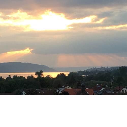 Bodensee BIRNAUBLICK