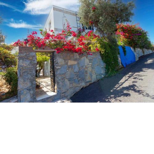 Bodrum Merkez'de Huzurlu ve sakin tatil evi