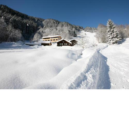 Bonawinkel NEU