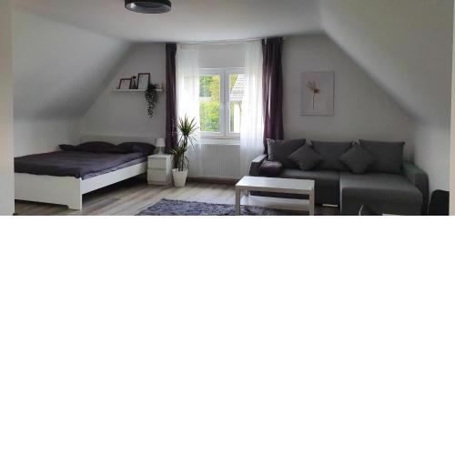 Bonn/Königswinter ferienwohnung