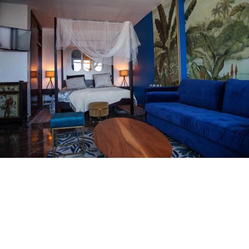 Bonobo Suite