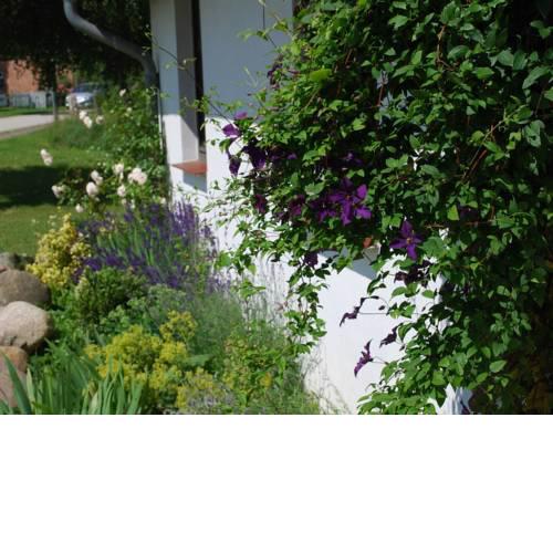 Comfortable apartment in Dargun Mecklenburg with Garden