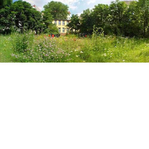 Bornholmer Hof im Prenzlauer Berg