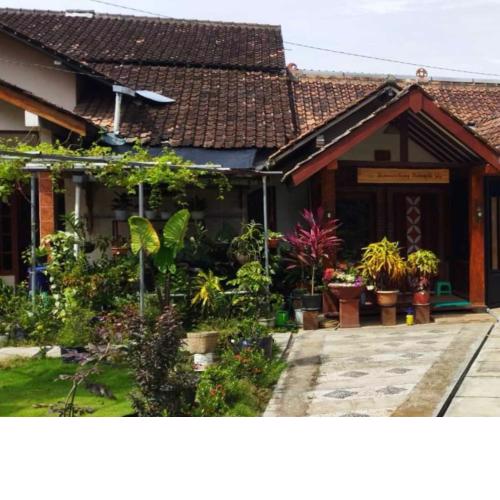 Borobudur Cluster Homestay Candirejo Syariah