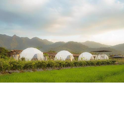 Borobudur Luxury Glamping