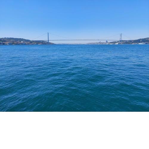 BOSPHORUS MANSION WILL AMAZE YOU w/ PRIVATE DUCK