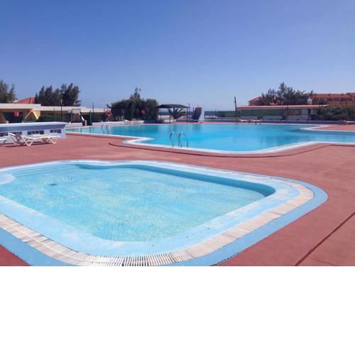 Bouganville