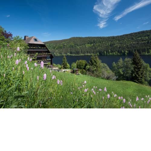 Boutique - Hotel Alemannenhof