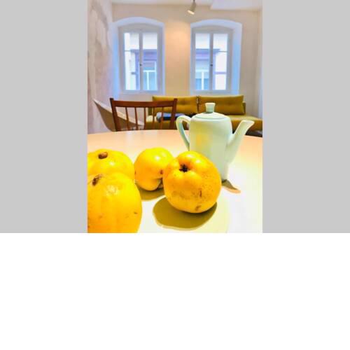 Boutique-Ferienwohnung im alten Weinhaus Moser