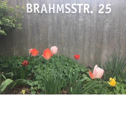 Brahms 25