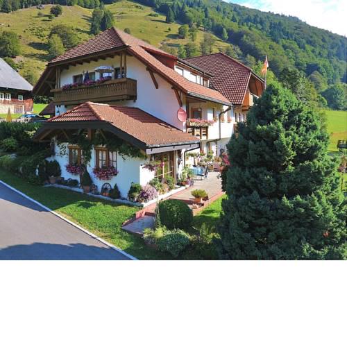 Complete wooden Apartment in Brandenberg with terrace