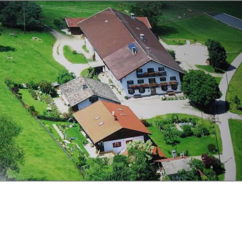 Braunhof