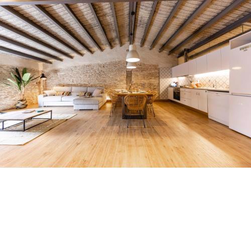 Bravissimo Plaça del Vi, Design Penthouse