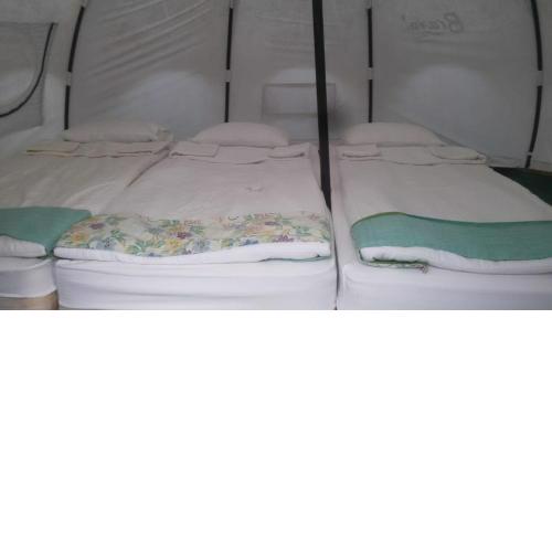 Bravo Adventure Glamping
