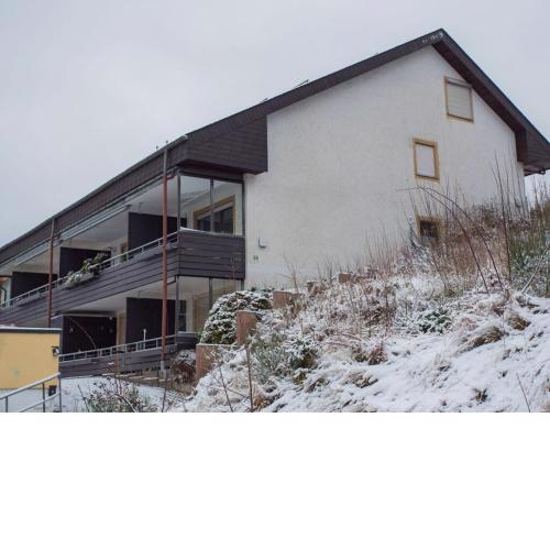 Bright and modern apartment in Niedersfeld near Winterberg with balcony