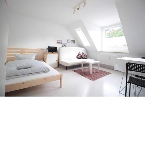 Bright Cityapartment - Old Mainbridge
