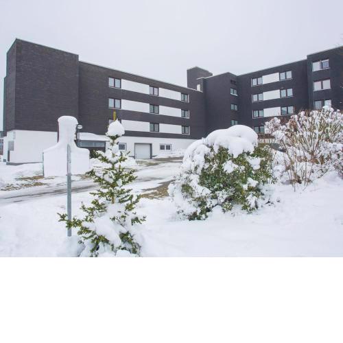 Bright flat in Winterberg located directly at the entrance to the ski area