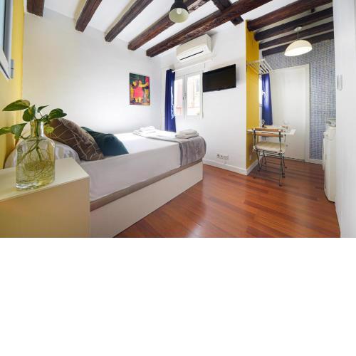 Bright MINI STUDIO in the historic center