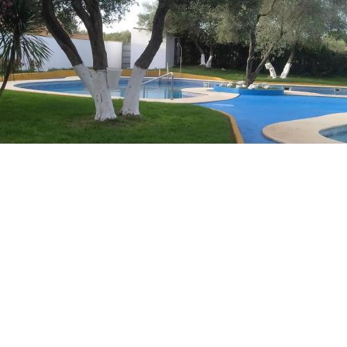 BRISAS VIP