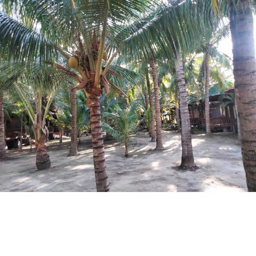 Bronze Bungalows