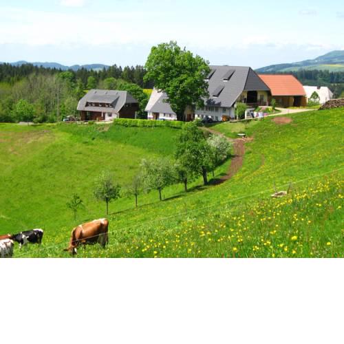Brosihof