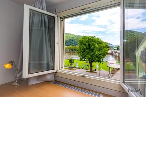 BS Neckar Apartment Heidelberg