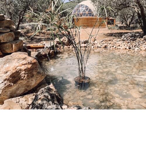 Bubble Suite Canyelles