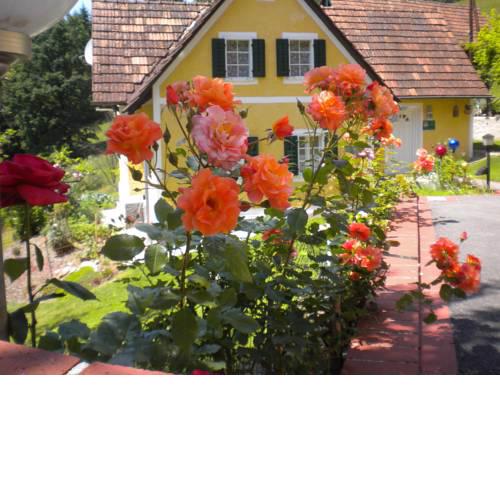 Buchschneider - Ferienhaus Maier