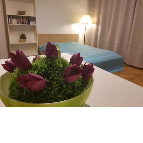 Budget Charles Square Apartments