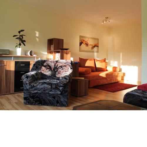 Sunlit Apartment with Garden in Satow near the Forest