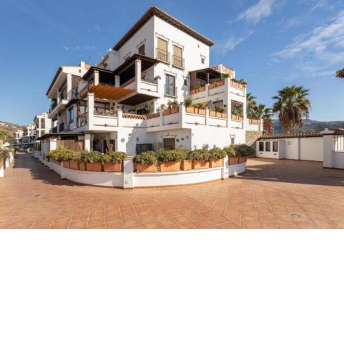 Buganvilla41